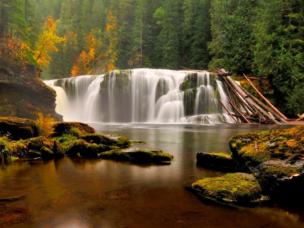 Обои лес, водопад, осень, forest, waterfall, autumn разрешение 2800x1600 Загрузить