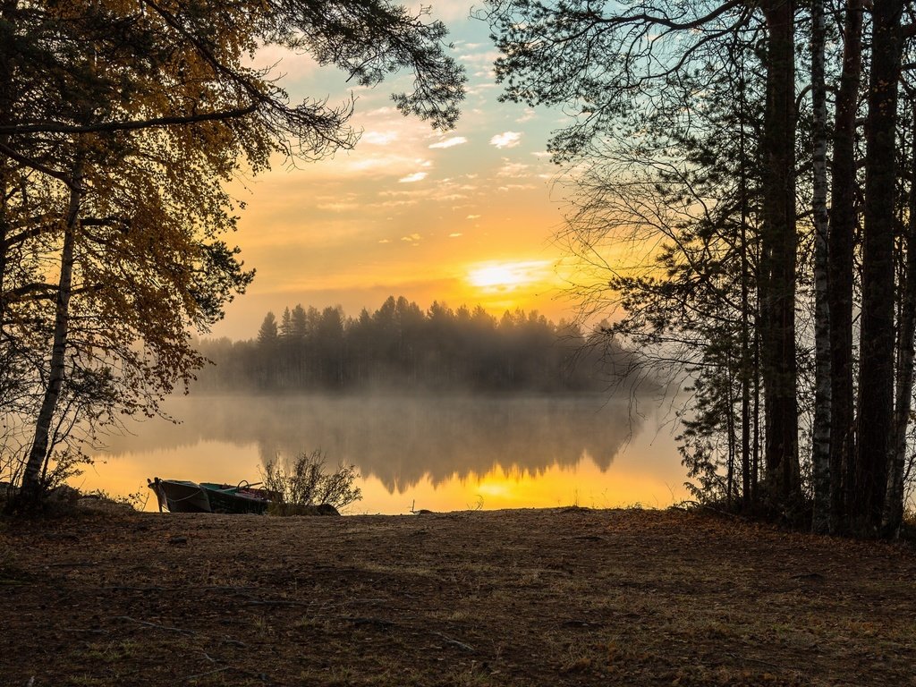 Обои озеро, лес, утро, туман, рассвет, lake, forest, morning, fog, dawn разрешение 2560x1600 Загрузить