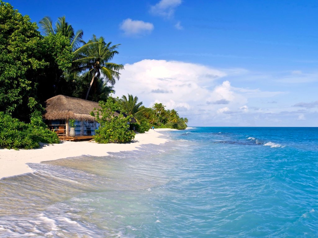 Обои море, пляж, пальмы, отдых, тропики, sea, beach, palm trees, stay, tropics разрешение 4096x2160 Загрузить