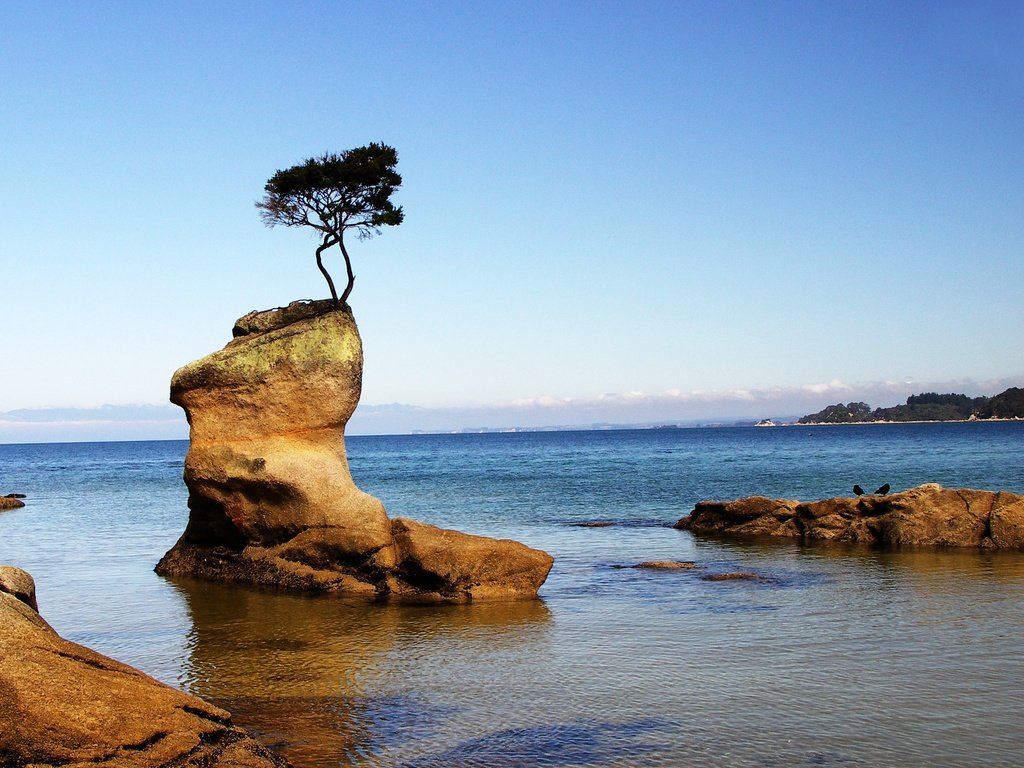 Обои небо, скалы, дерево, море, горизонт, побережье, the sky, rocks, tree, sea, horizon, coast разрешение 2668x1900 Загрузить