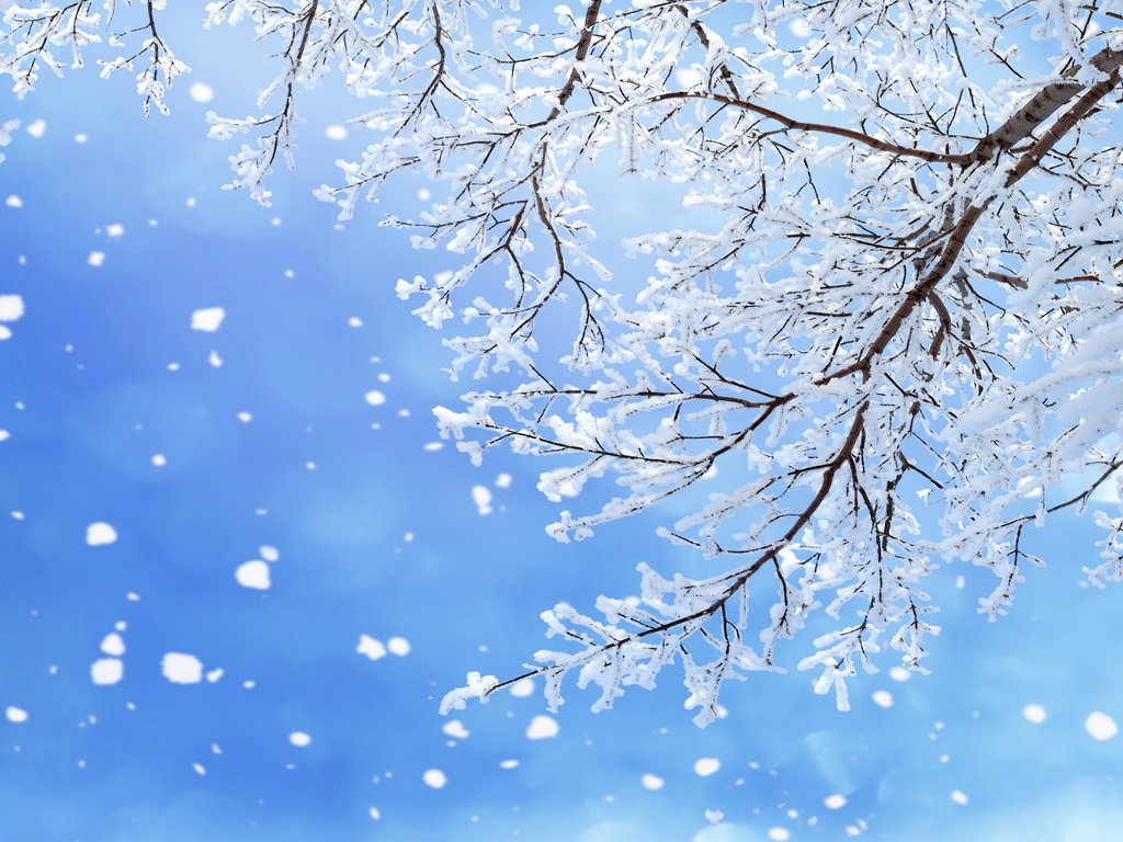 Обои небо, ветки, ветка, снег, природа, дерево, зима, макро, снежинки, the sky, branches, branch, snow, nature, tree, winter, macro, snowflakes разрешение 6550x4367 Загрузить