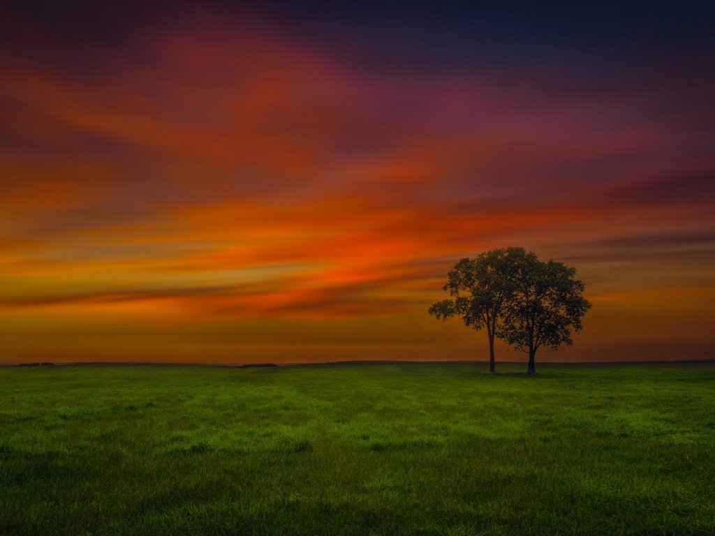 Обои небо, вечер, дерево, поле, the sky, the evening, tree, field разрешение 6452x3888 Загрузить