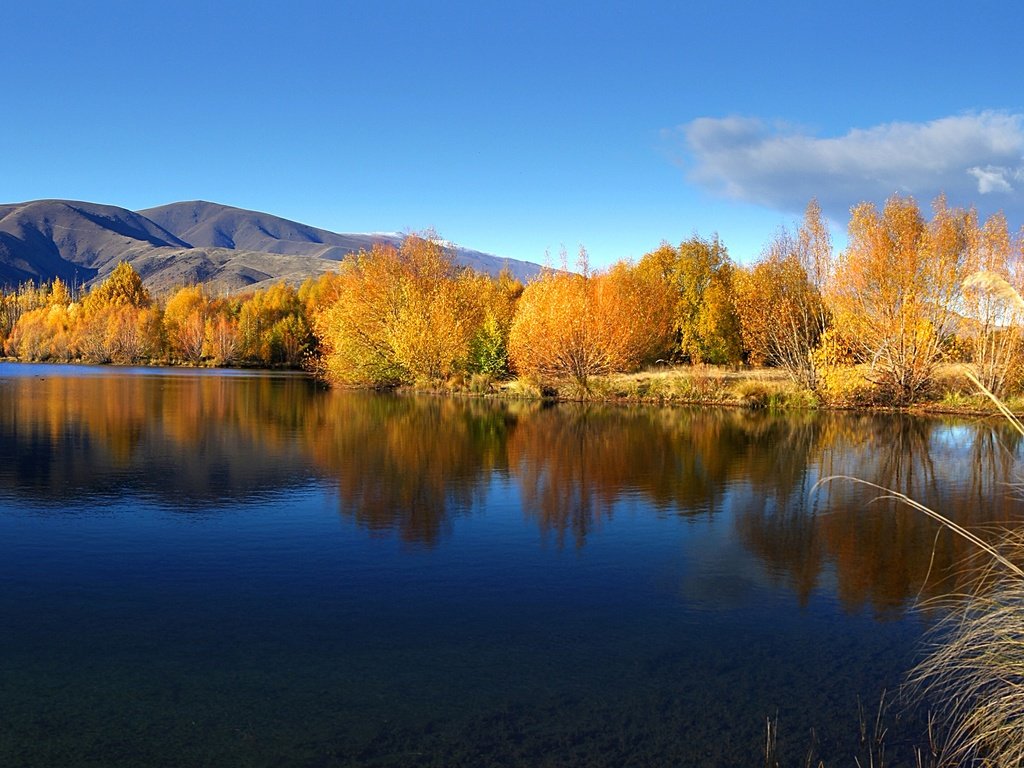 Обои небо, вода, озеро, осень, ивы, the sky, water, lake, autumn, willow разрешение 2400x1337 Загрузить