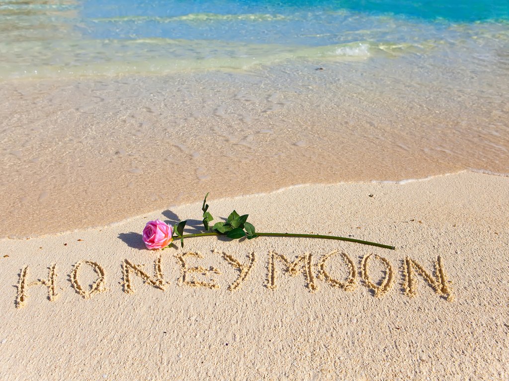 Обои море, honeymoon, цветок, песок, пляж, роза, романтик, тропическая, влюбленная, sea, flower, sand, beach, rose, romantic, tropical, love разрешение 3500x2326 Загрузить