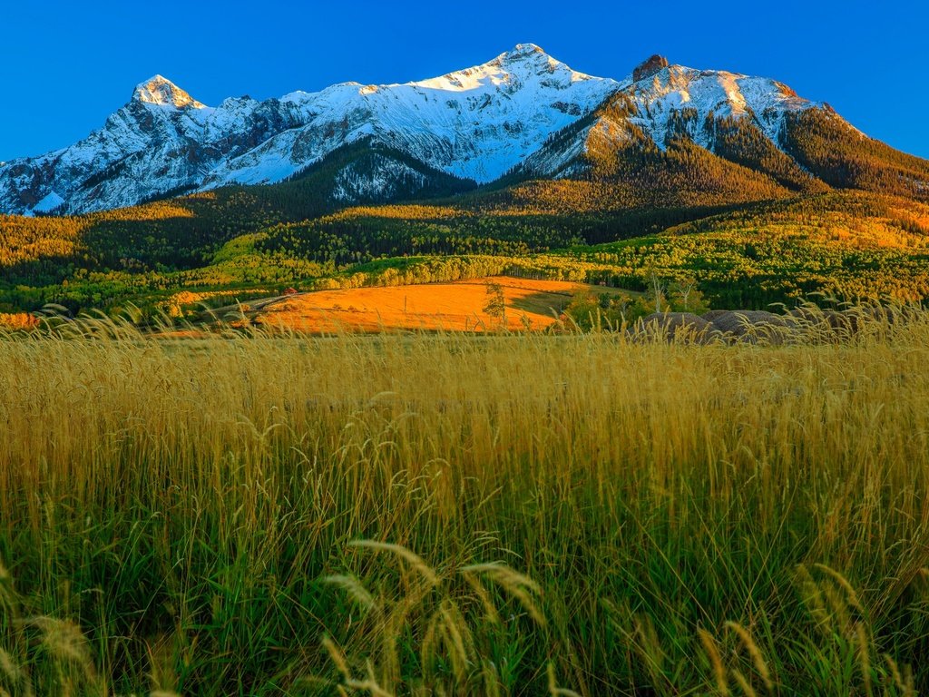 Обои трава, горы, осень, сша, колорадо, аспен, grass, mountains, autumn, usa, colorado, aspen разрешение 1920x1225 Загрузить