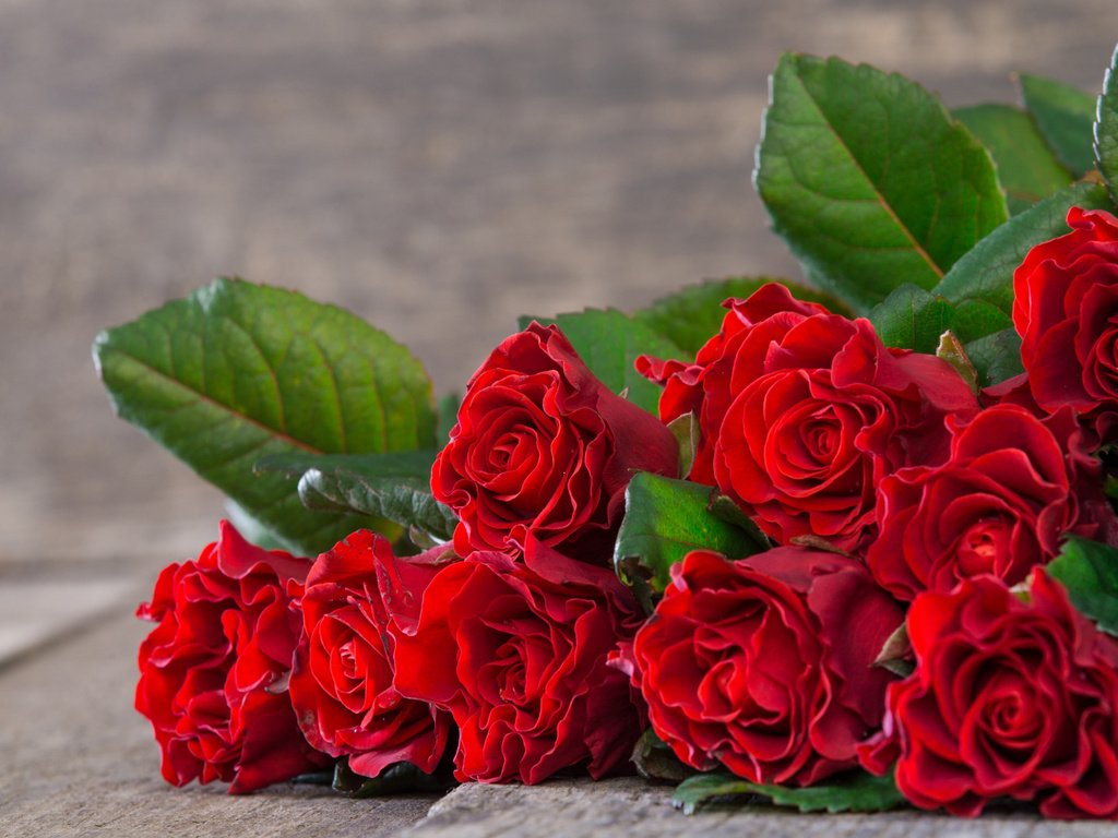 Обои цветы, розы, букет, flowers, roses, bouquet разрешение 1920x1080 Загрузить