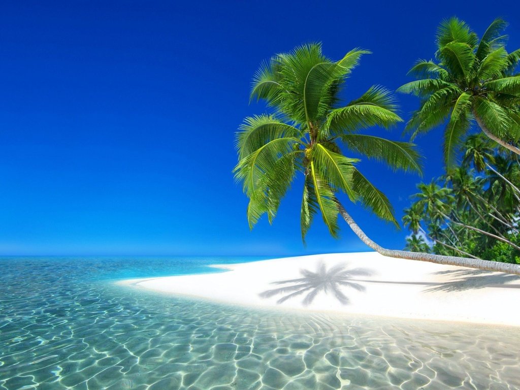 Обои вода, пальмы, красиво, water, palm trees, beautiful разрешение 2560x1700 Загрузить