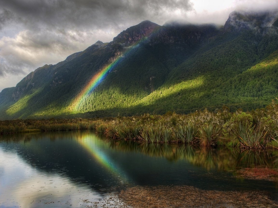 Обои деревья, радуга, водоем, дождь, trees, rainbow, pond, rain разрешение 2560x1600 Загрузить