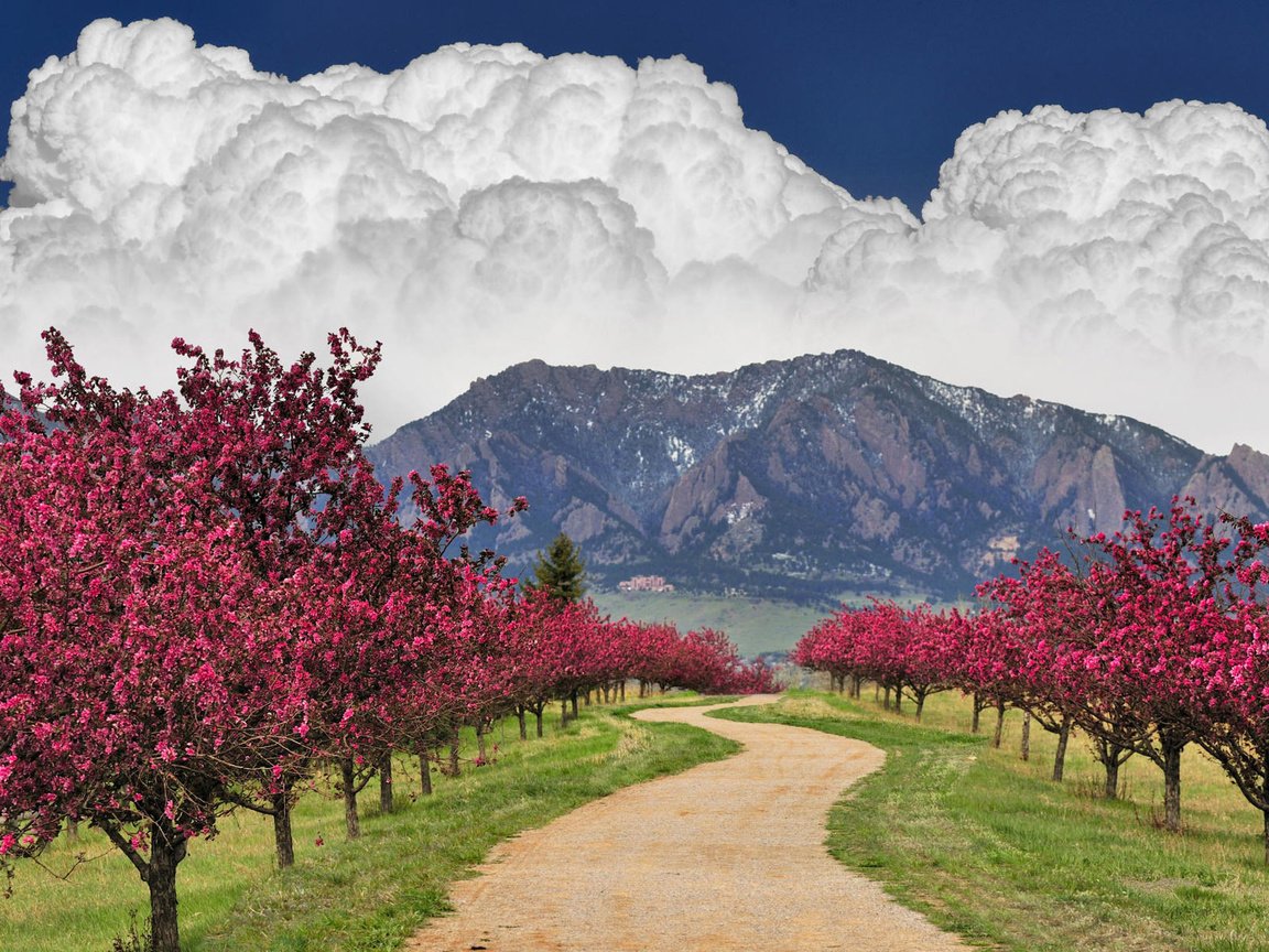 Обои небо, дорога, облака, деревья, горы, цветущее, the sky, road, clouds, trees, mountains, flowering разрешение 1920x1200 Загрузить