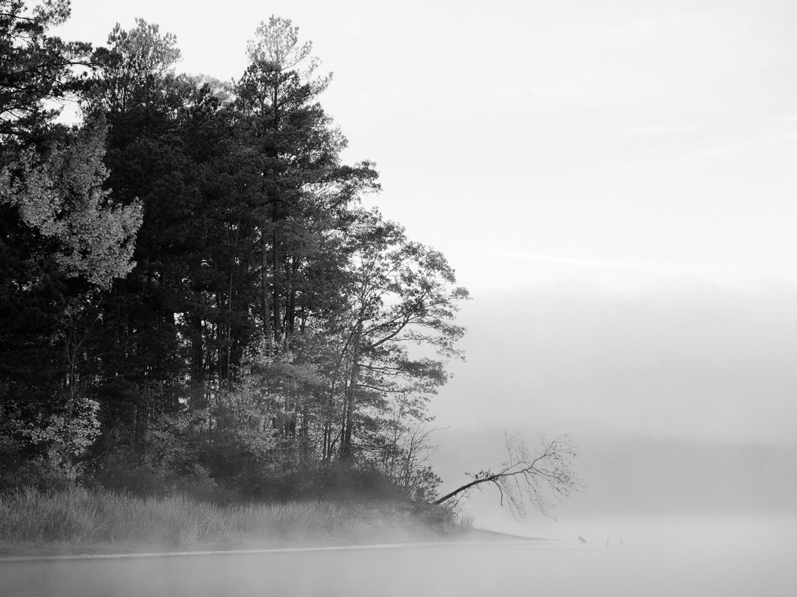 Обои деревья, вода, озеро, лес, туман, чёрно-белое, черно-белая, trees, water, lake, forest, fog, black and white разрешение 1920x1200 Загрузить