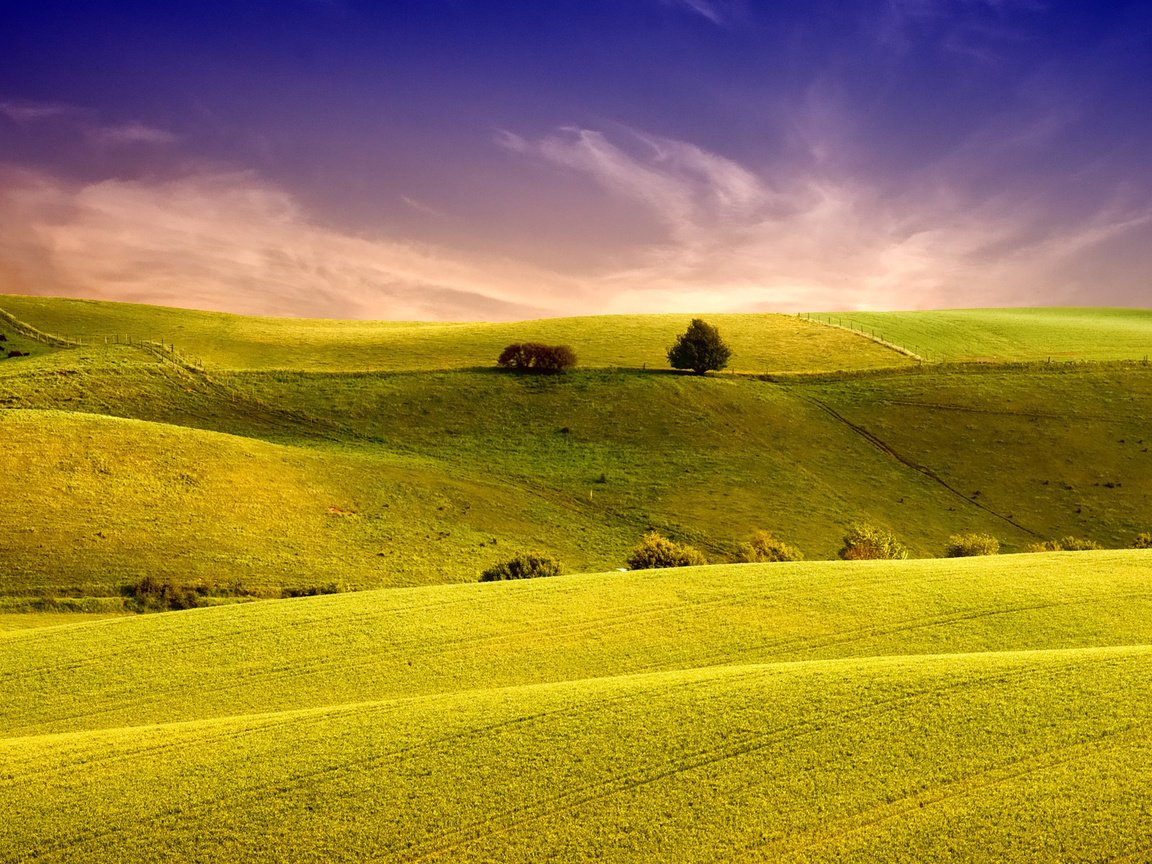 Обои небо, трава, холмы, природа, обои, пейзаж, поля, поле, the sky, grass, hills, nature, wallpaper, landscape, field разрешение 1920x1200 Загрузить