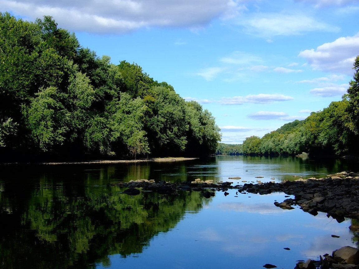 Обои небо, река, лес, the sky, river, forest разрешение 1920x1200 Загрузить