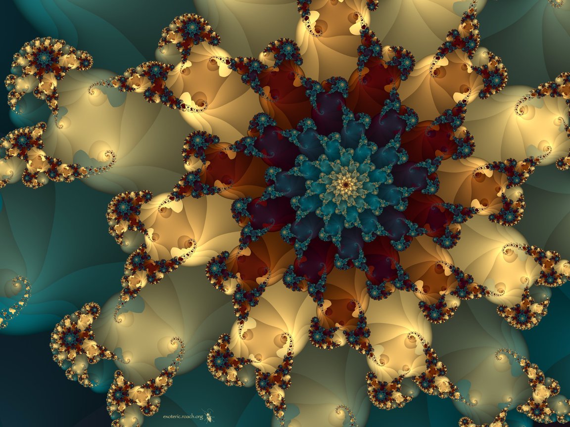 Обои абстракция, цветок, узор, фрактал, abstraction, flower, pattern, fractal разрешение 2560x1600 Загрузить