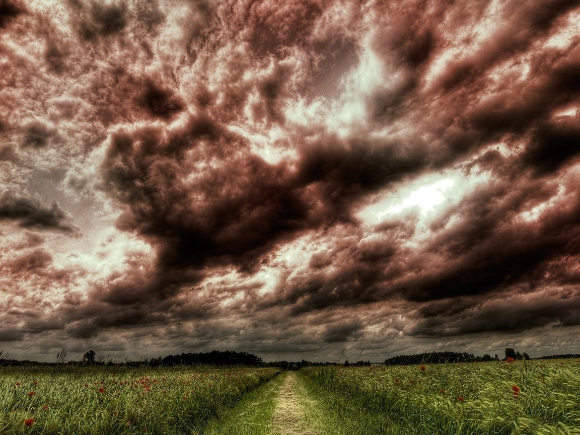 Обои небо, дорога, цветы, трава, деревья, тучи, поле, the sky, road, flowers, grass, trees, clouds, field разрешение 1920x1080 Загрузить