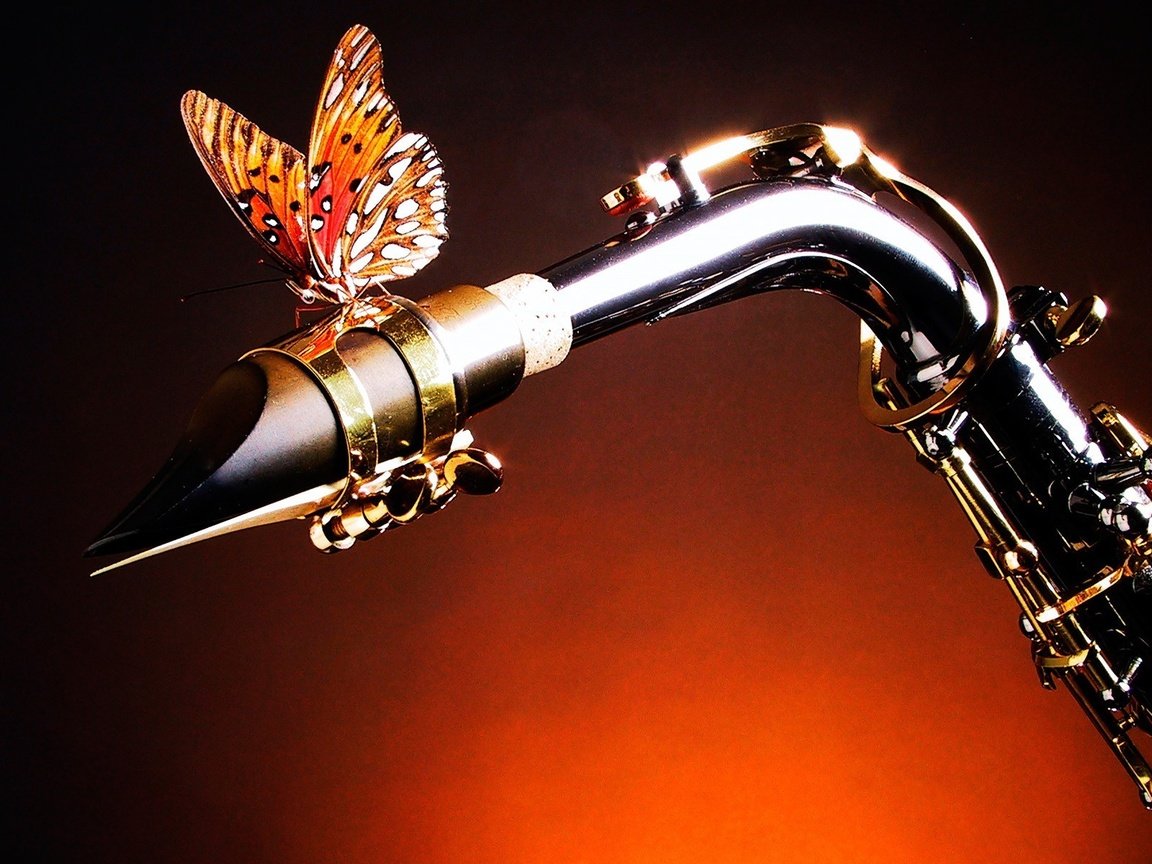 Обои бабочка, саксофон, butterfly, saxophone разрешение 1920x1200 Загрузить