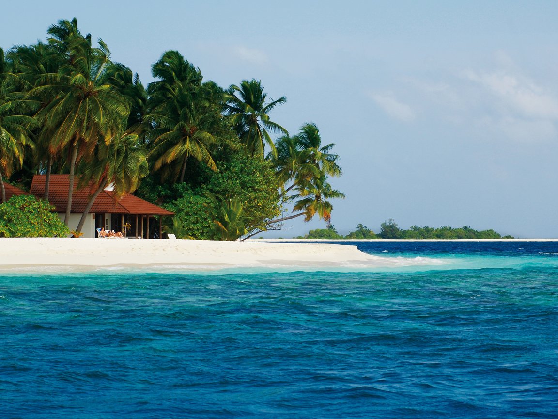 Обои пляж, пальмы, остров, тропики, мальдивы, beach, palm trees, island, tropics, the maldives разрешение 4257x2802 Загрузить