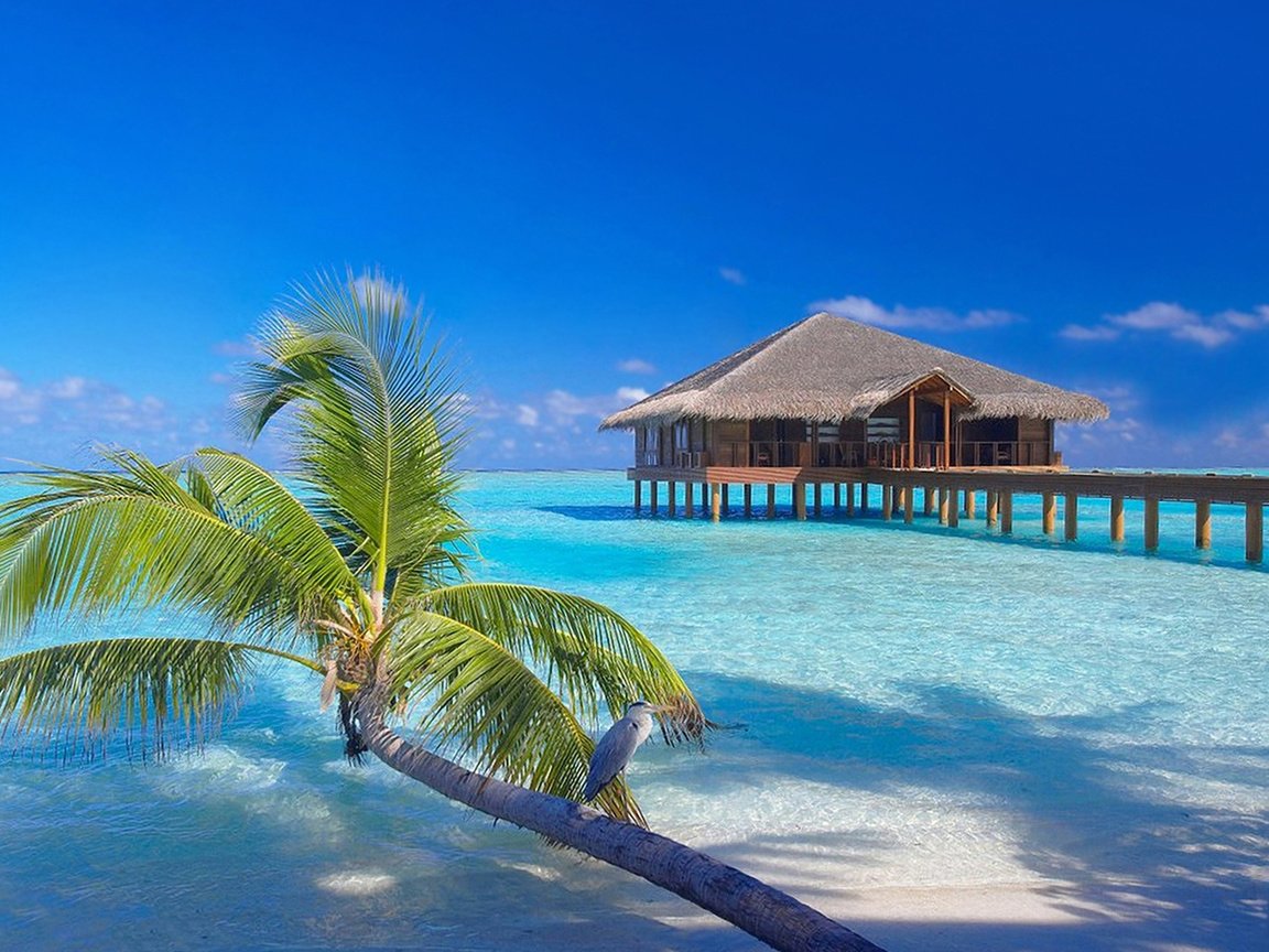 Обои бунгало, тропики, мальдивы, bungalow, tropics, the maldives разрешение 1920x1430 Загрузить