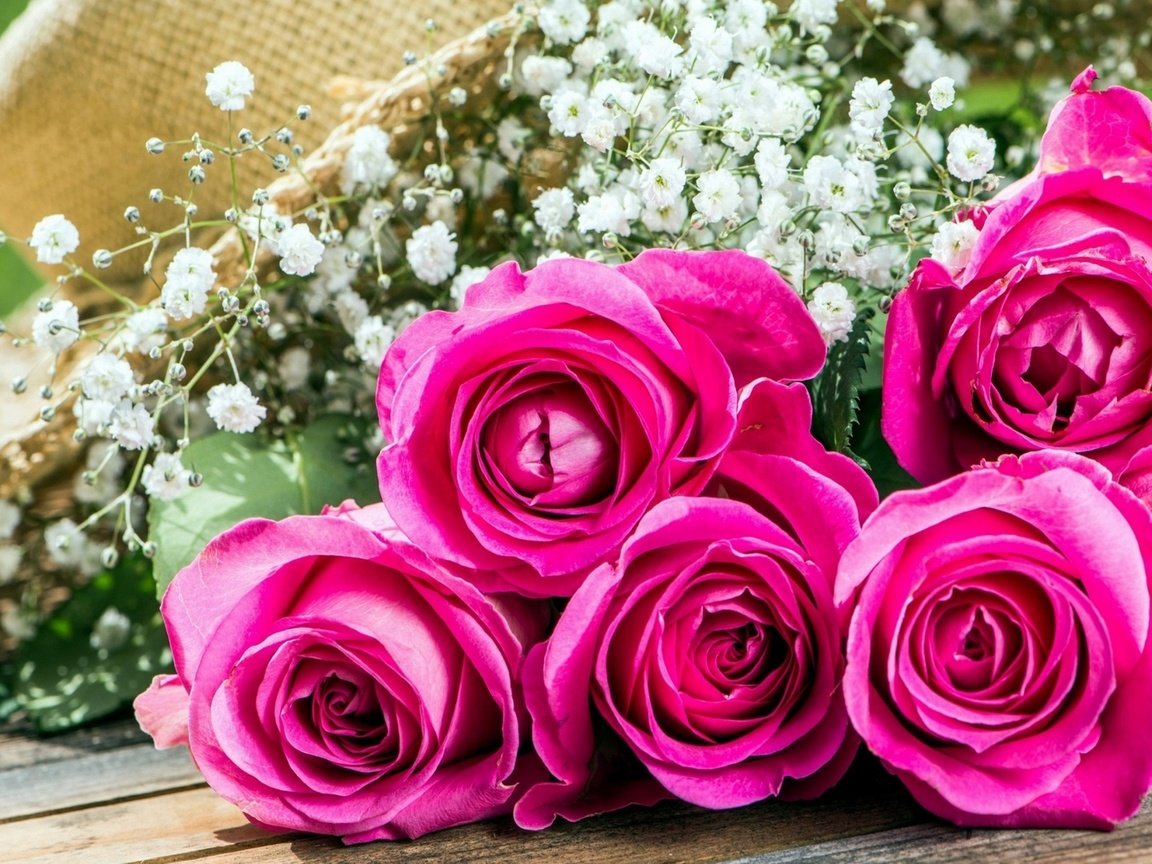 Обои розовые розы, pink roses разрешение 1920x1080 Загрузить