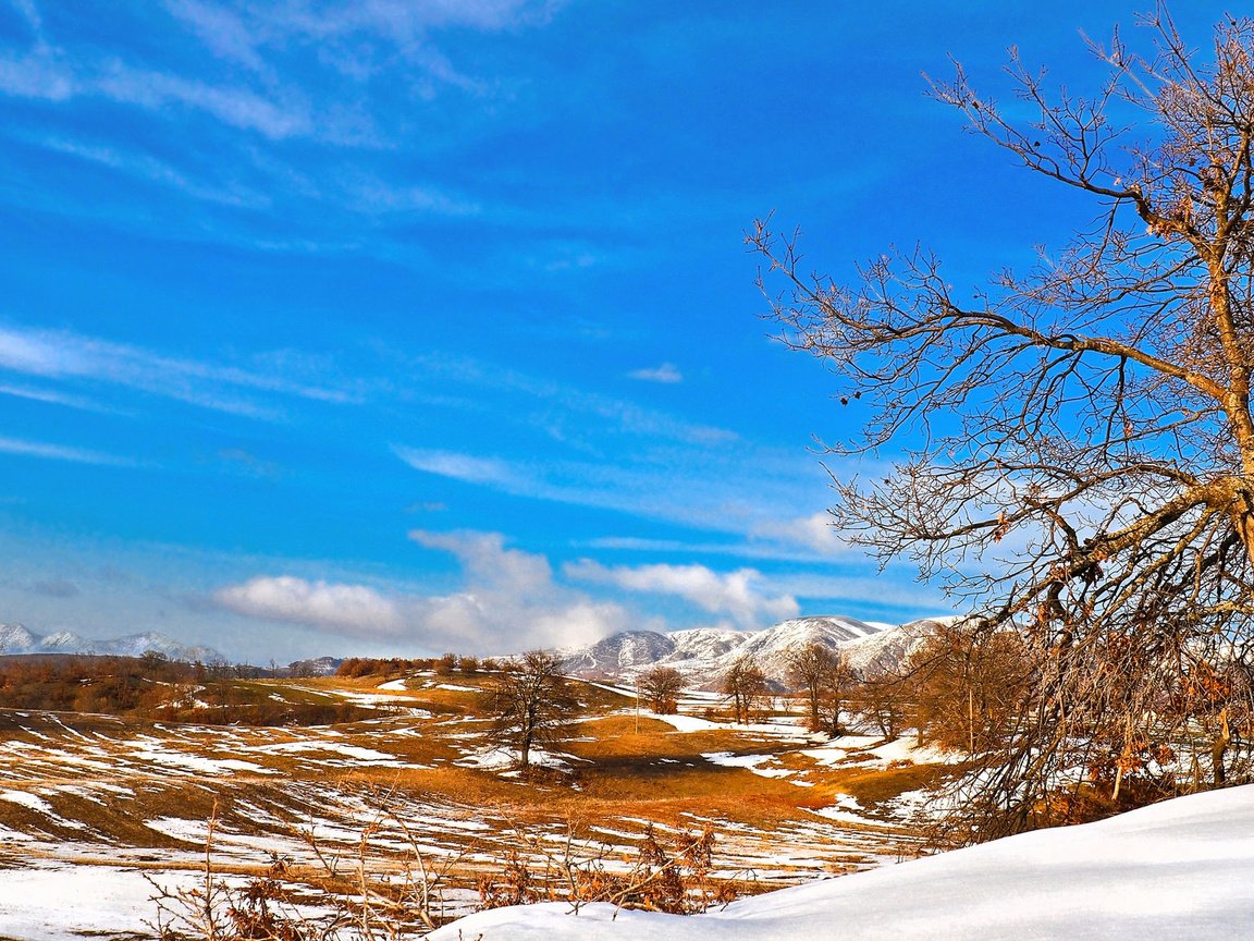 Обои небо, деревья, горы, снег, долина, the sky, trees, mountains, snow, valley разрешение 2048x1152 Загрузить