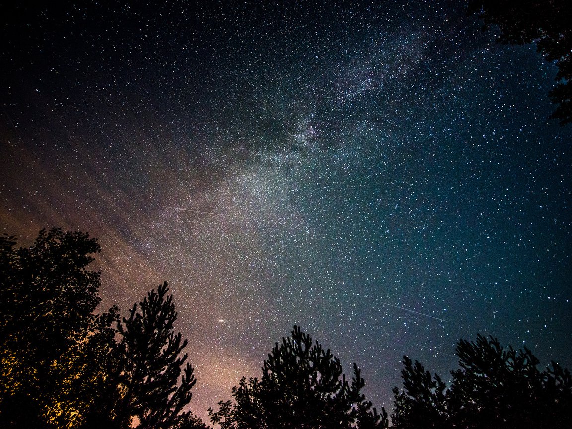 Обои ночь, деревья, космос, звезды, млечный путь, night, trees, space, stars, the milky way разрешение 2048x1367 Загрузить