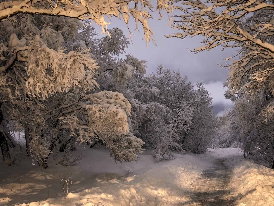 Обои дорога, деревья, снег, лес, зима, исландия, коупавогюр, road, trees, snow, forest, winter, iceland, kópavogur разрешение 2048x1356 Загрузить