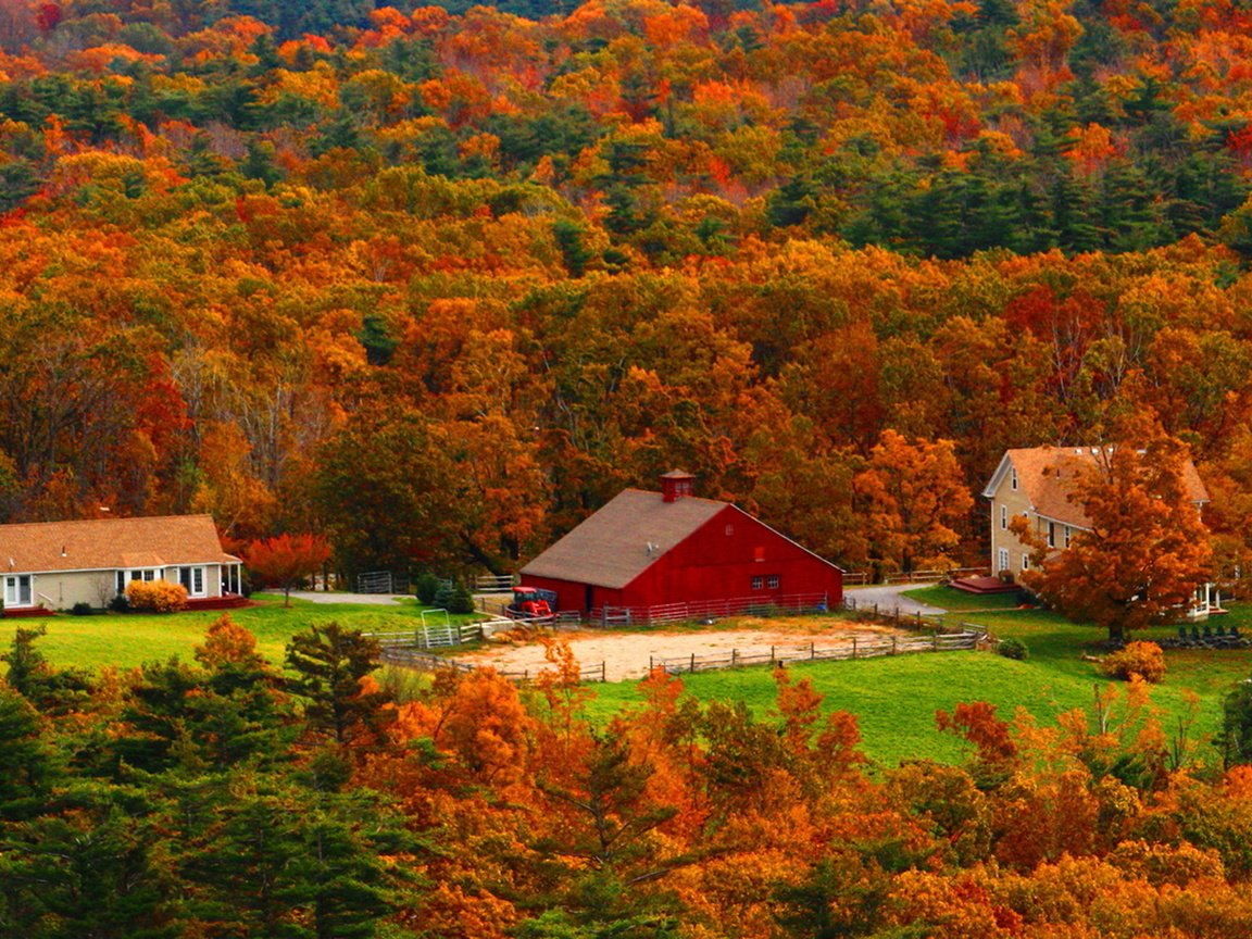 Обои деревья, лес, осень, дома, trees, forest, autumn, home разрешение 1920x1280 Загрузить