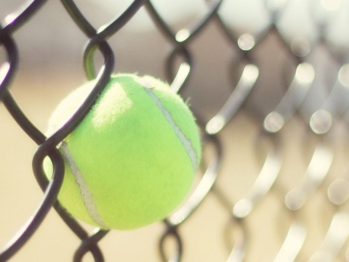 Обои забор, сетка, тенис, спорт, мяч, теннис, бал, the fence, mesh, tennis, sport, the ball, ball разрешение 1920x1200 Загрузить