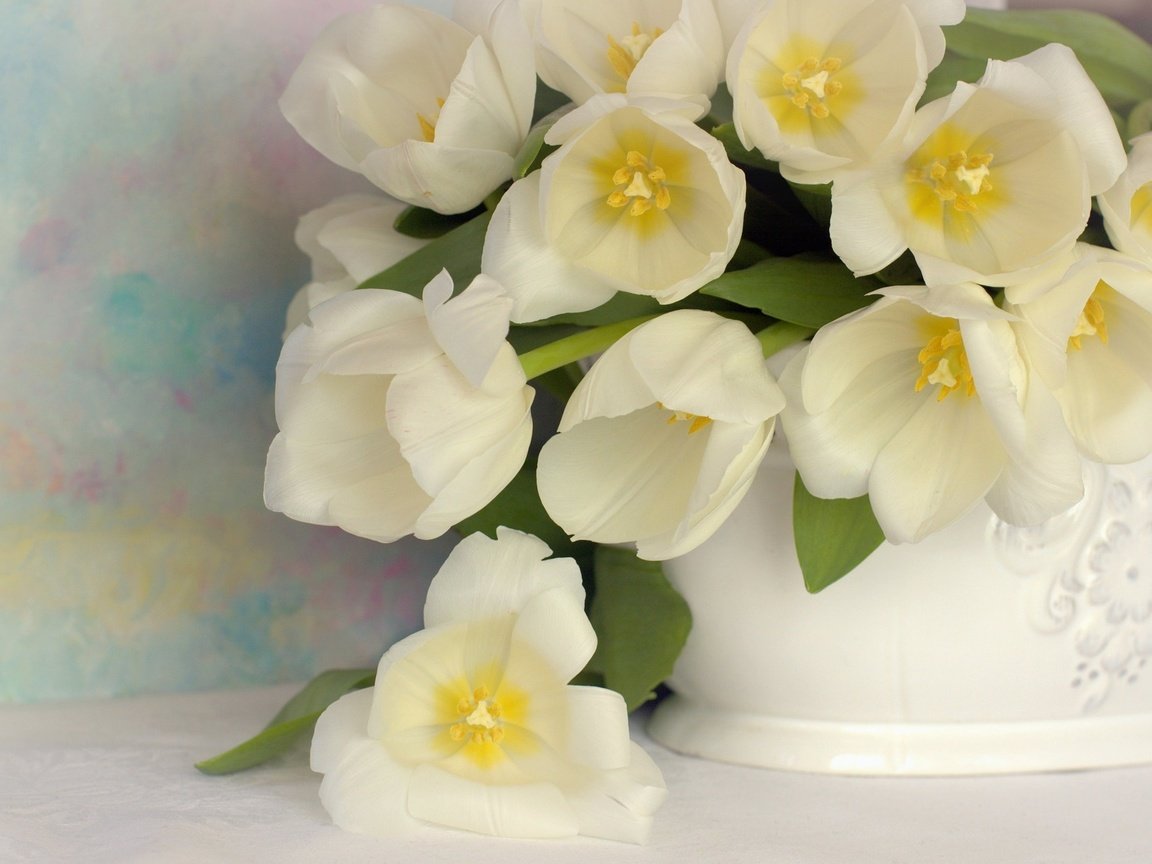 Обои цветы, букет, тюльпаны, белые, ваза, flowers, bouquet, tulips, white, vase разрешение 2048x1365 Загрузить