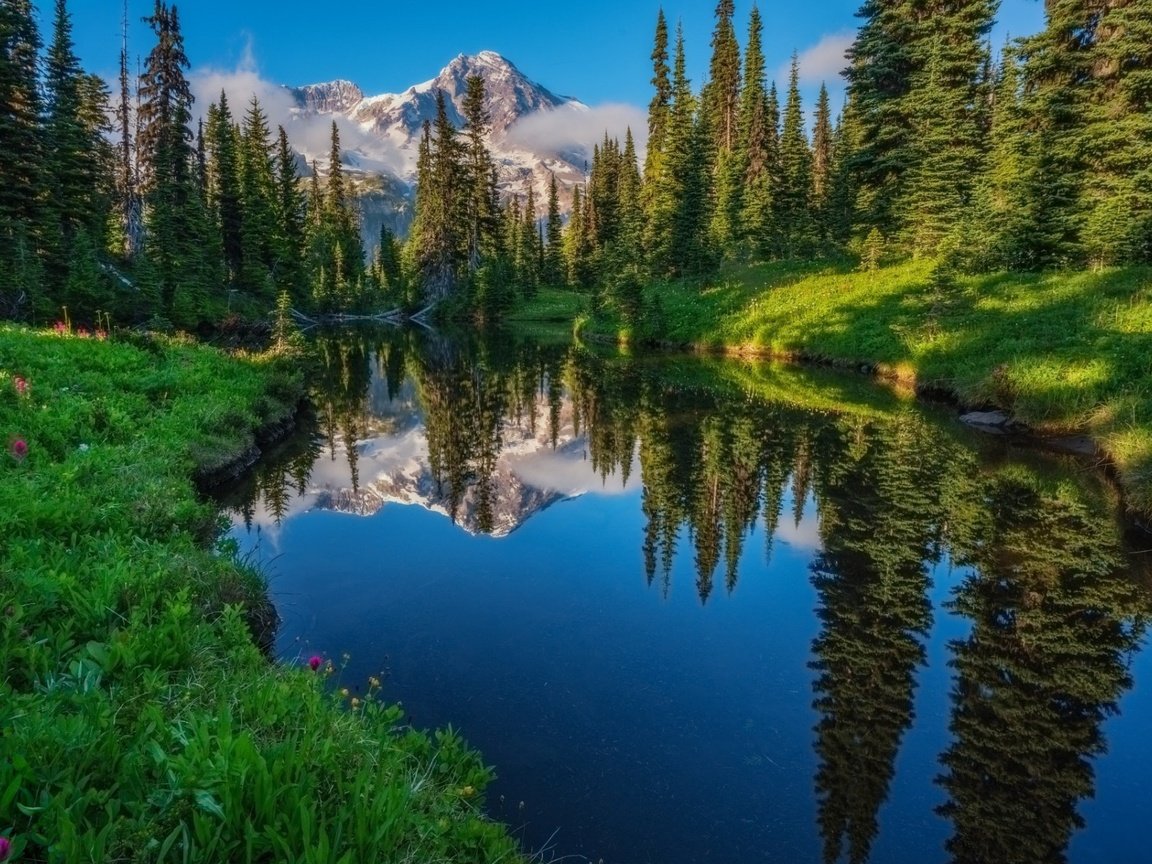 Обои небо, трава, деревья, река, горы, лес, отражение, the sky, grass, trees, river, mountains, forest, reflection разрешение 1920x1200 Загрузить