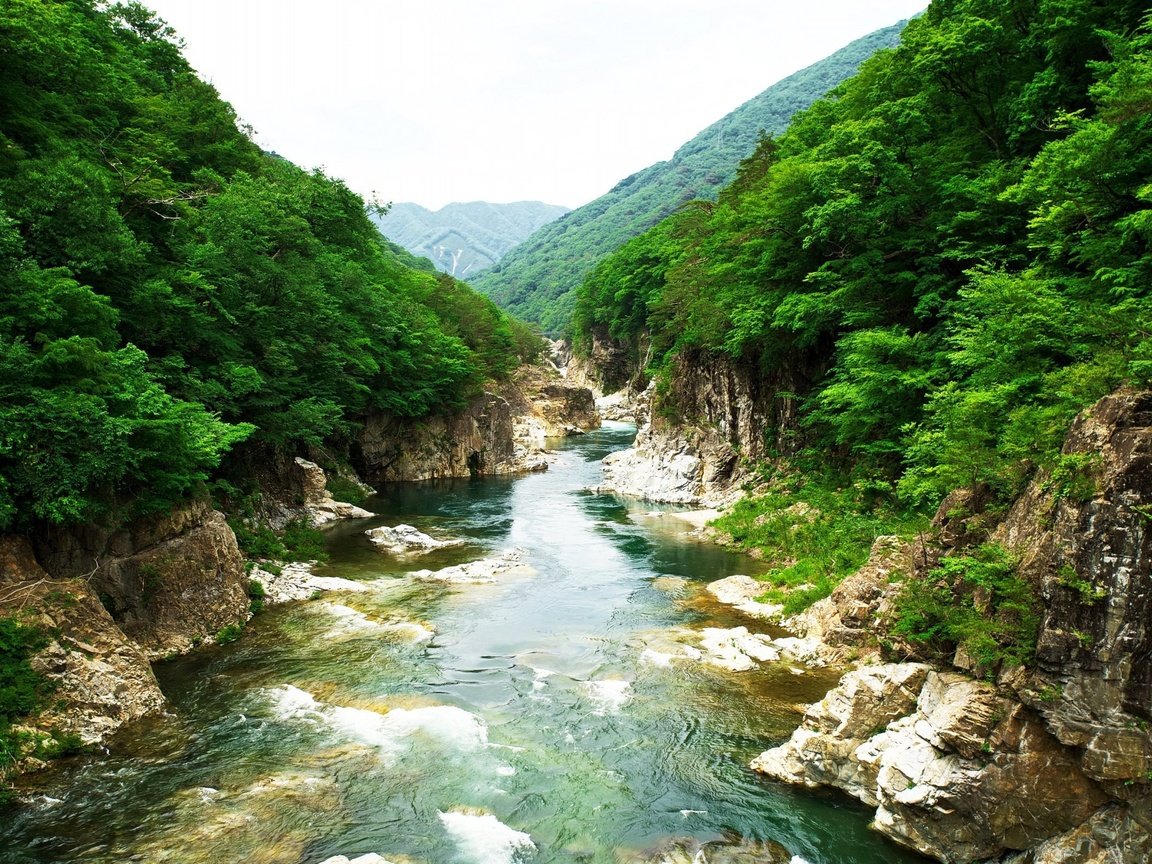 Обои река, скалы, природа, камни, растения, япония, river, rocks, nature, stones, plants, japan разрешение 2560x1600 Загрузить