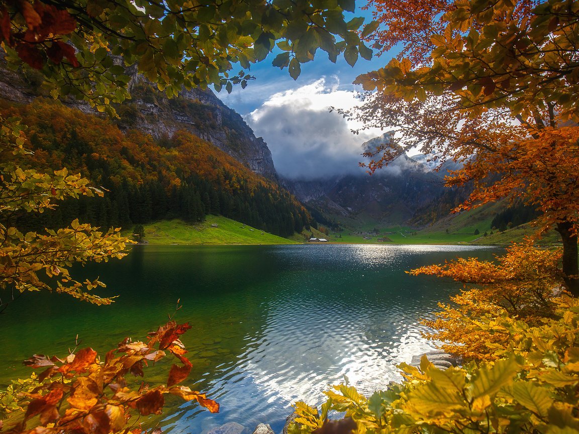 Обои небо, облака, деревья, озеро, горы, лес, осень, the sky, clouds, trees, lake, mountains, forest, autumn разрешение 1920x1200 Загрузить