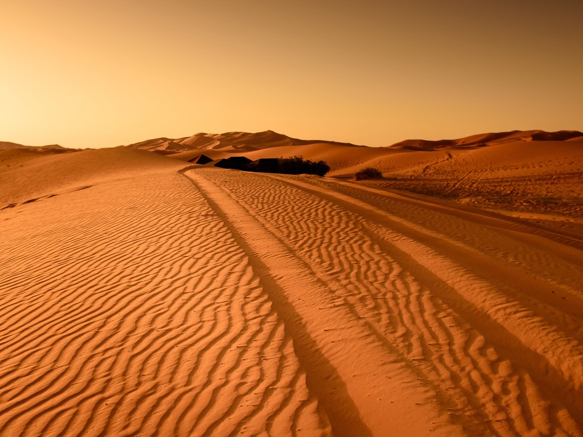 Обои пейзаж, песок, пустыня, следы, дюны, landscape, sand, desert, traces, dunes разрешение 3840x2400 Загрузить