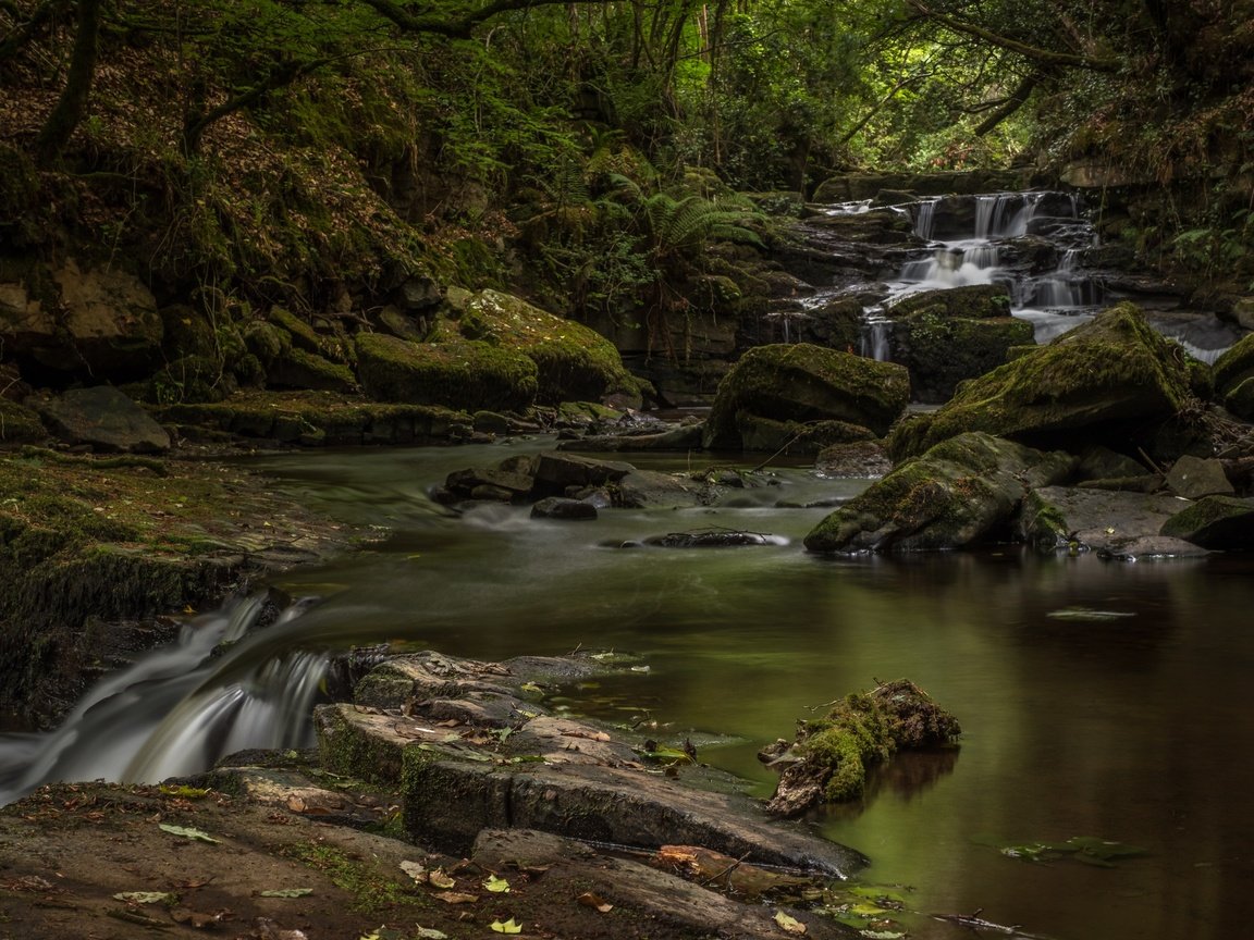 Обои река, природа, камни, водопад, мох, river, nature, stones, waterfall, moss разрешение 3600x2288 Загрузить