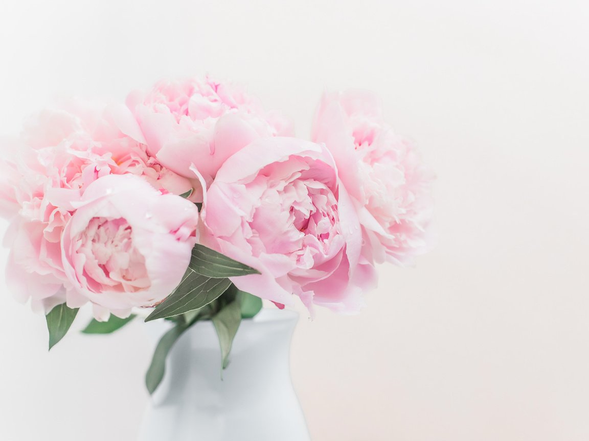 Обои букет, розовые, пионы, bouquet, pink, peonies разрешение 5472x3648 Загрузить