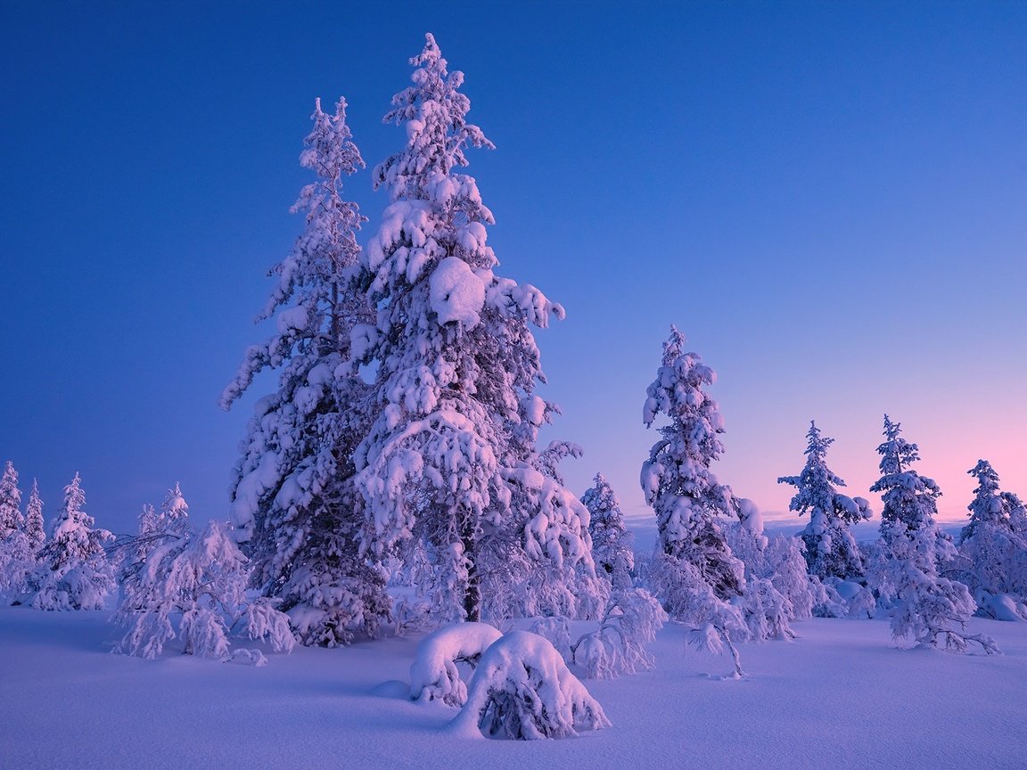 Обои снег, природа, snow, nature разрешение 1920x1282 Загрузить