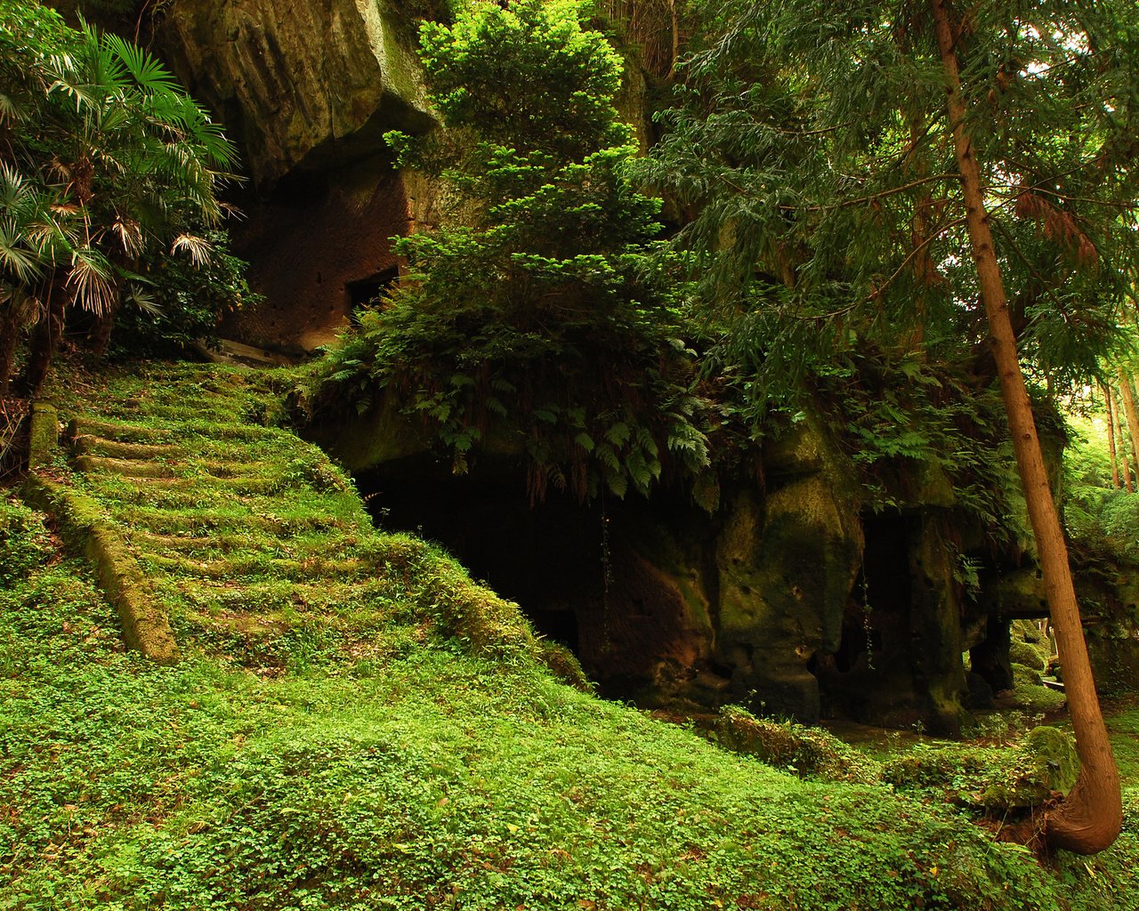 Обои деревья, лес, храм, лестница, ступеньки, руины, мох, trees, forest, temple, ladder, steps, ruins, moss разрешение 2560x1600 Загрузить