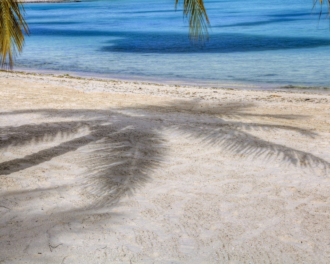 Обои песок, тень, пальма, sand, shadow, palma разрешение 2048x1536 Загрузить