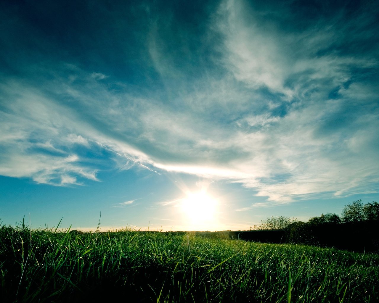 Обои небо, трава, облака, закат, синий, зеленая, the sky, grass, clouds, sunset, blue, green разрешение 2560x1600 Загрузить