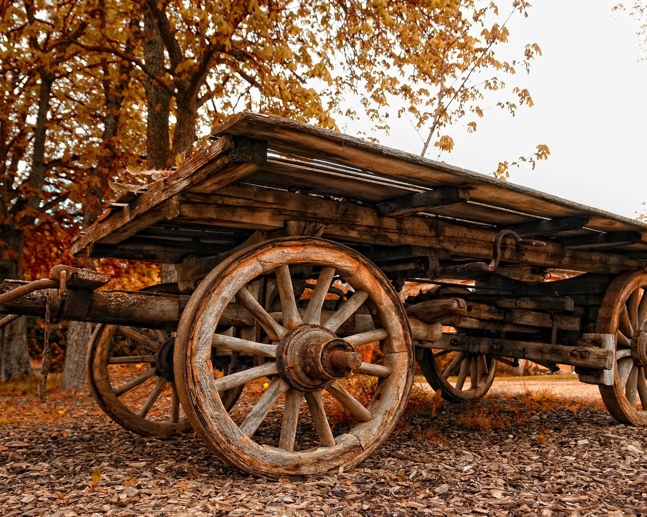 Обои осень, старый, повозка, autumn, old, wagon разрешение 1920x1200 Загрузить