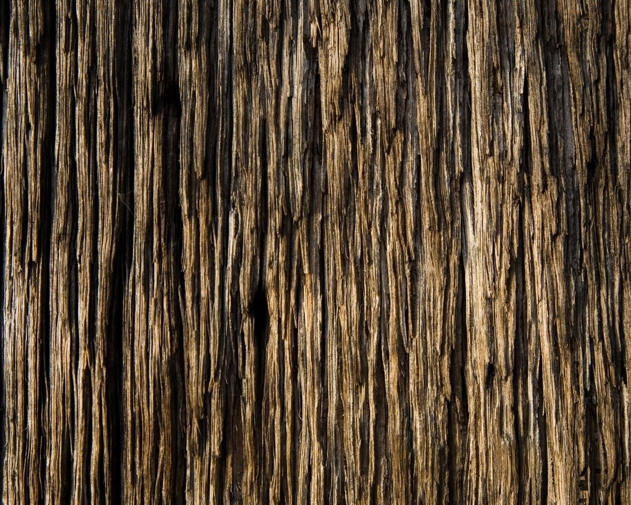 Обои дерево, доска, древесина, текстур, tree, board, wood, textures разрешение 1920x1080 Загрузить