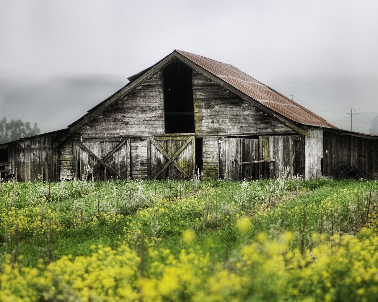 Обои природа, растения, пейзаж, сад, дом, заброшенная, постройка, nature, plants, landscape, garden, house, abandoned, building разрешение 5024x3168 Загрузить