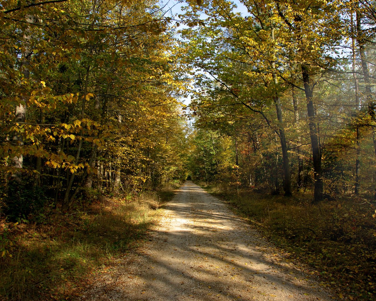 Обои дорога, солнце, лес, лучи, осень, грунтовая, road, the sun, forest, rays, autumn разрешение 1920x1200 Загрузить