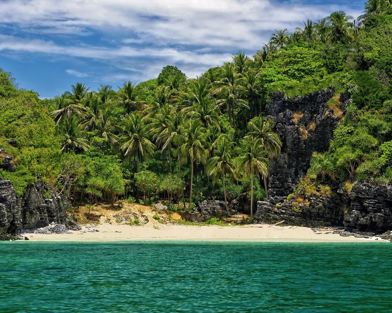 Обои пляж, пальмы, в укромном месте, beach, palm trees, in a secluded place разрешение 1920x1200 Загрузить