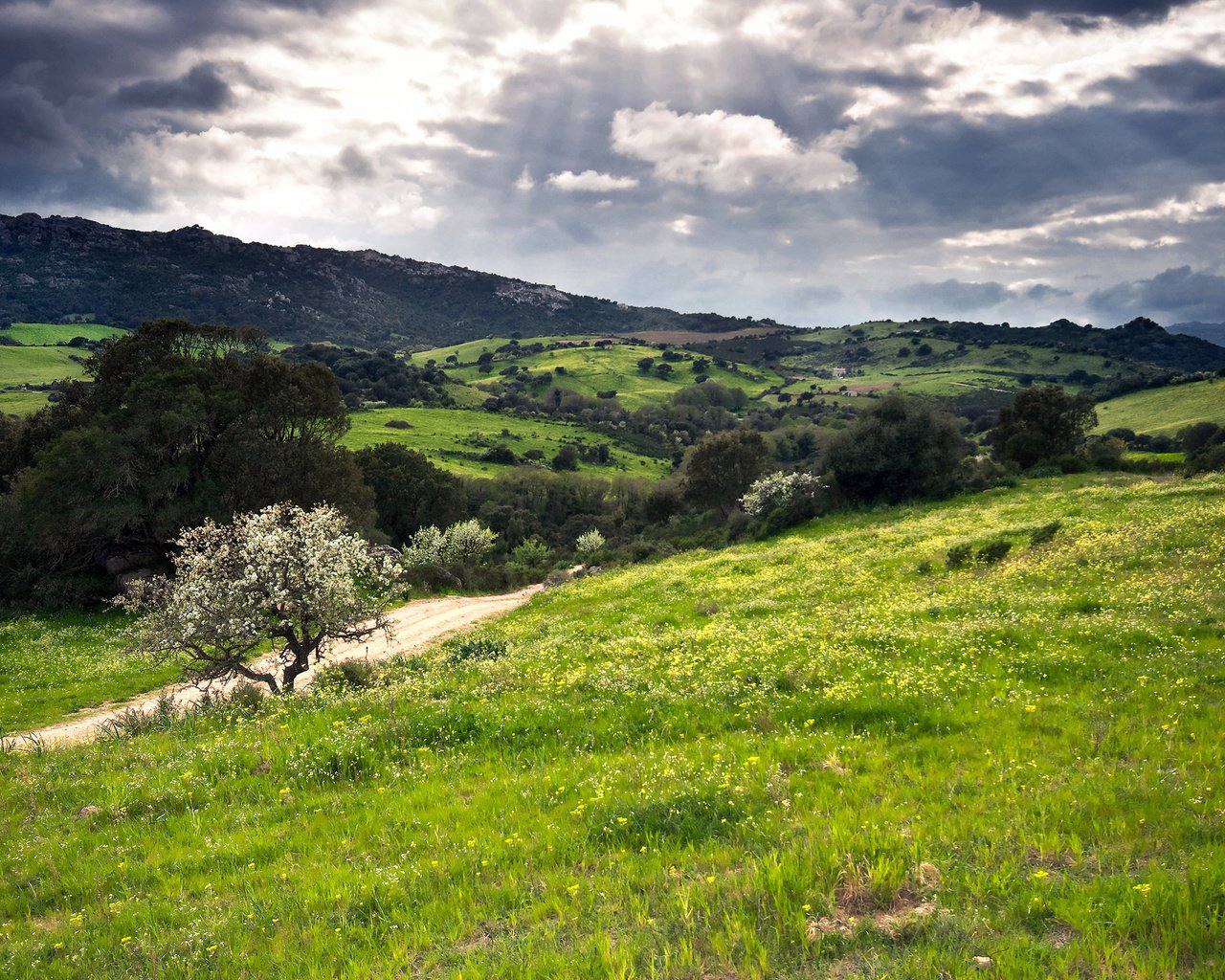 Обои холмы, зелень, италия, сардиния, hills, greens, italy, sardinia разрешение 2560x1600 Загрузить