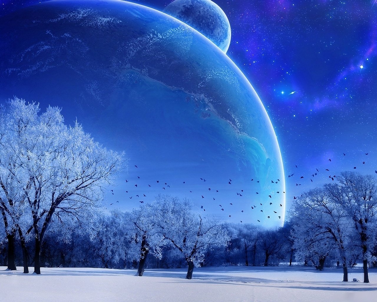 Обои небо, деревья, зима, луна, голубой, the sky, trees, winter, the moon, blue разрешение 1920x1200 Загрузить