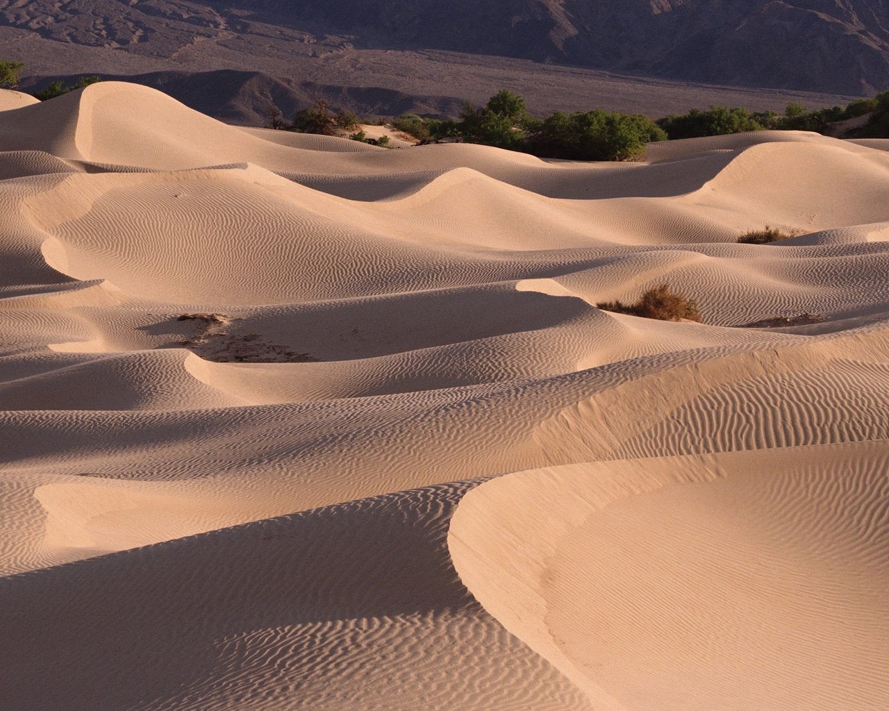 Обои песок, пустыня, барханы, sand, desert, the dunes разрешение 2295x1536 Загрузить