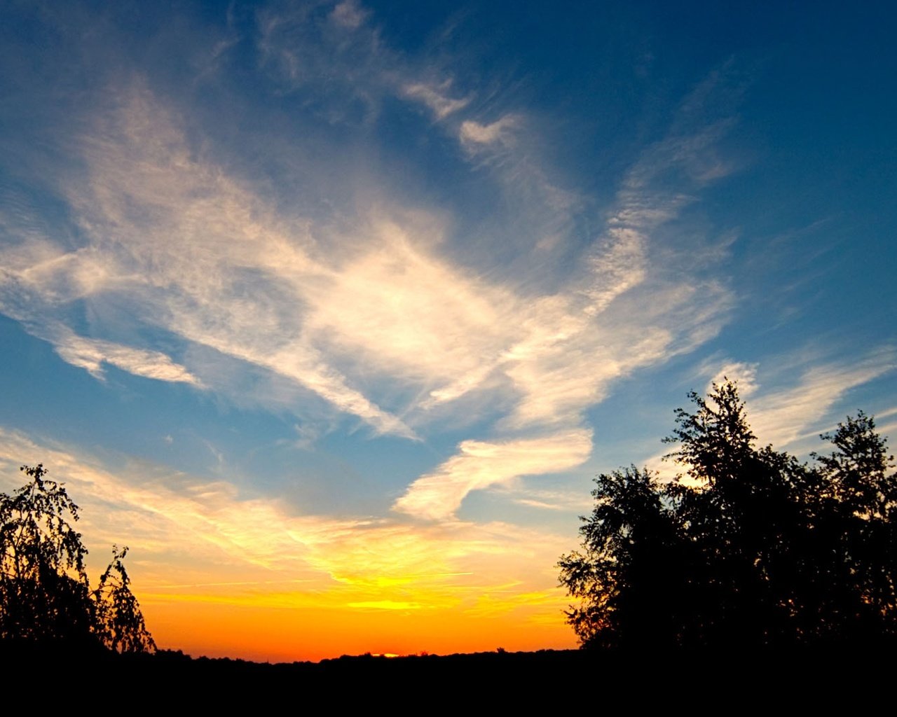 Обои небо, облака, деревья, закат, the sky, clouds, trees, sunset разрешение 1920x1080 Загрузить