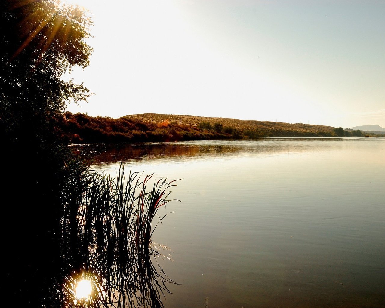 Обои озеро, холмы, дерево, лучи солнца, куст, lake, hills, tree, the rays of the sun, bush разрешение 1920x1200 Загрузить