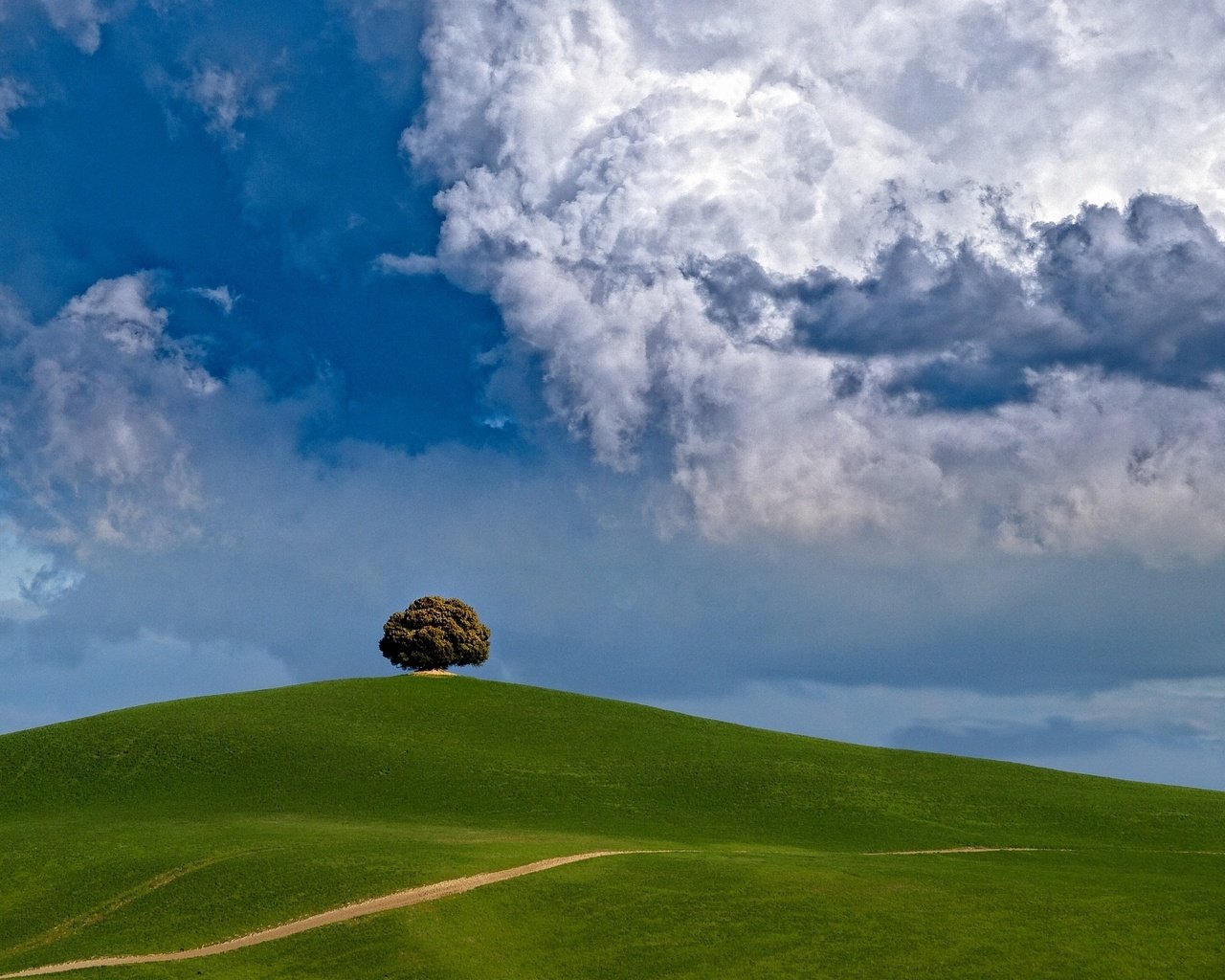 Обои облака, дерево, холм, clouds, tree, hill разрешение 2200x1650 Загрузить