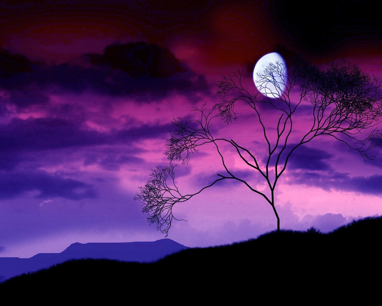 Обои ночь, дерево, ветки, луна, night, tree, branches, the moon разрешение 2560x1600 Загрузить